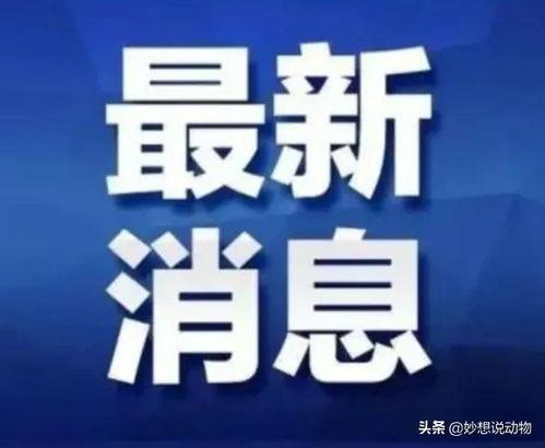 广西水电最新爆料新闻,揭秘水电项目新进展与争议焦点